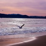 남자분들 저도 남자입니다 집차 좋은 직장 없<b>스면</b> 연애결혼포기하세요