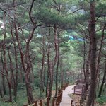[댓글부탁해] 오빠아 00씨