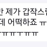 [ㅈㄱㄴ] 이거 그냥 구매 안 하겠다는 거지?