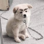 [골든차일드] 골차에 눈썹 존재감 엄청나신 분 ㄹㅇ 귀여워