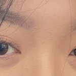 <b>내</b> <b>눈</b> 고양이상 강아지상?