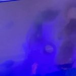 [NCT칠프] 야 이거 김<b>젱</b>우 맞는 거 같은 게