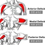 [NCT칠프] 도영이 팔근육 말이야...