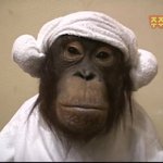 <b>키카</b>오웹툰 작품 하나만찾라줄 판녀 ㅠㅠㅠ