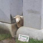 <b>잇팁들</b> ㅈㄴ씹스럽다..