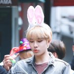[NCT칠프] 이 토끼 어디감