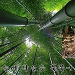 구절강해(막4 26, 27 유튜브 교회 #활공교회)