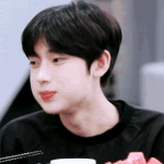 [엔하이픈] 엔진들 <b>팬</b>톡오면