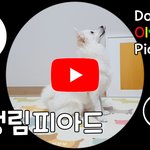 픽토그램 개 버전 -<b>도쿄</b>올림픽