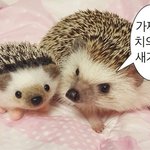 [드루와] <b>토모</b>토모 나이차이 체감