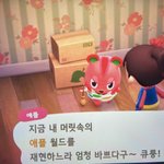 [이것좀봐줘] 우리 <b>애플</b>님