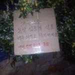 [드루와] 난 <b>한참</b> 아이돌 좋아할땐