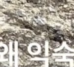 [NCT칠프] 자막<b>단거</b> ㄱㅇㄱ