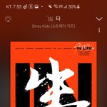 [스키즈] 짹하는 테이들