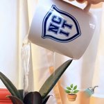 [NCT칠프] 소피아 나 이거 정잰 버블중에 <b>소포</b>라로 착각했었음ㅋㅋ