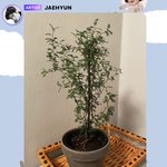 [NCT칠프] 이거 설마 노린거라면??