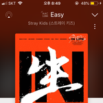 [스키즈] 생애 처음 스<b>밍</b>중인데!!