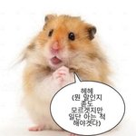 [댓글부탁해] <b>하루</b>종일 암것도 <b>안</b>먹었는데