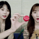 [모두드루와] 내돌 강아지 보고가