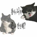 [댓글부탁해] <b>이번</b><b>주</b>에 등교하는 사람?