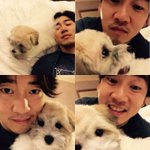 오지<b>콤들</b>아