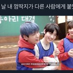 어느날 내 껌<b>딱지</b>가 다른사람에게 붙었다