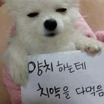 [드루와] 개ㄱㅌ은년이 내 깊티씀