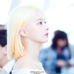 인간계에선 보기 드문 작은 <b>인형들</b>
