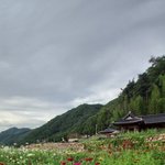 [댓글부탁해] 전<b>남친</b>과 <b>현남친</b> 사이의 우정