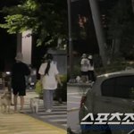 조이 크러쉬 강쥐 <b>산책</b>