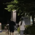 조이 크러쉬 강아지 <b>산책</b> 시키는거 봄?