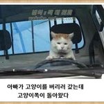 [이것좀봐줘] <b>결혼스펙</b>좀 봐주세요