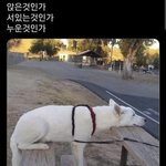 [댓글부탁해] 인스타 말야