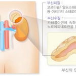 [방탈죄송] 불면증 원인을 알게된 공시생