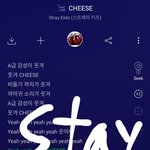 [스키즈] <b>치즈</b> 듣는데