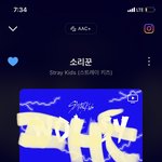 [스키즈] ❤멜로디가 소리꾼 <b>응원</b>왔꾼❤