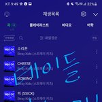[스키즈] <b>테이</b>들 좀만 더 힘내자!!
