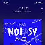 [스키즈] <b>테이</b>들 화이팅!