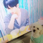 [골든차일드] <b>조이도</b> 형아 생일 축하한닼ㅋㅋㅋㅋ