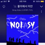[스키즈] 아이디기부가 중요한거구나
