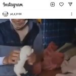 [강아지] 강아지 좀 구해주세요 ㅠㅠ