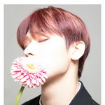 더보이즈 주연
