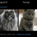 [방탄소년단] <b>융기</b>