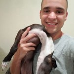 부끄러우면 녹아내리는 댕댕이?!