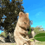 웃으며 걸어오는 뜻밖의 벌금?!