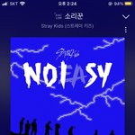 [스키즈] <b>한</b>정반이랑 일반<b>반</b>이랑 머가다른건지 물어봐도 될까..ㅠ