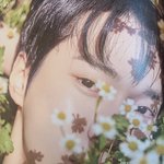 [NCT칠프] 네이처 <b>포토북</b> 도영