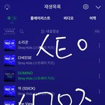 [스키즈] 스테이의 고충...