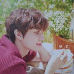[NCT정우] <b>배우</b> 얼굴