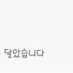 [댓글부탁해] 헐 프리지아한테 <b>답글</b> 받았다ㅠㅠ